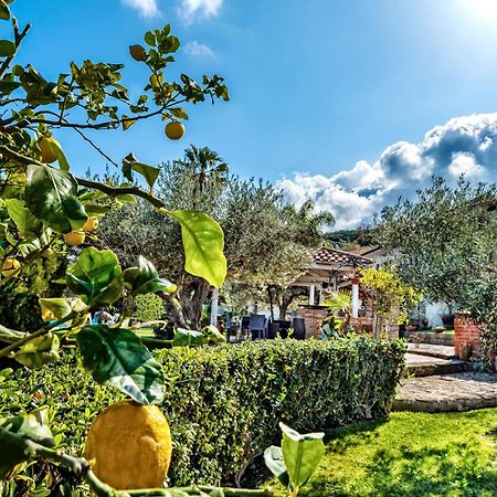 B&B Villa Bency Capo dʼOrlando Exterior foto